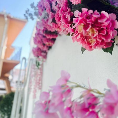 Leonidas House 帕尔加 外观 照片